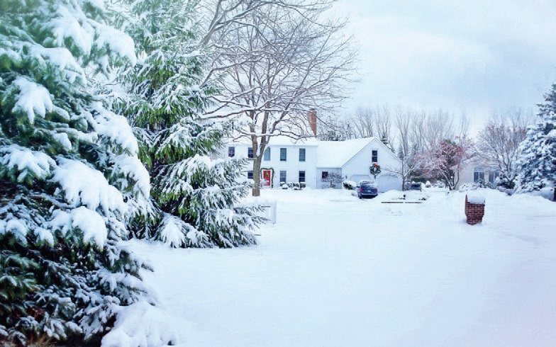 newsletter-graphic-4